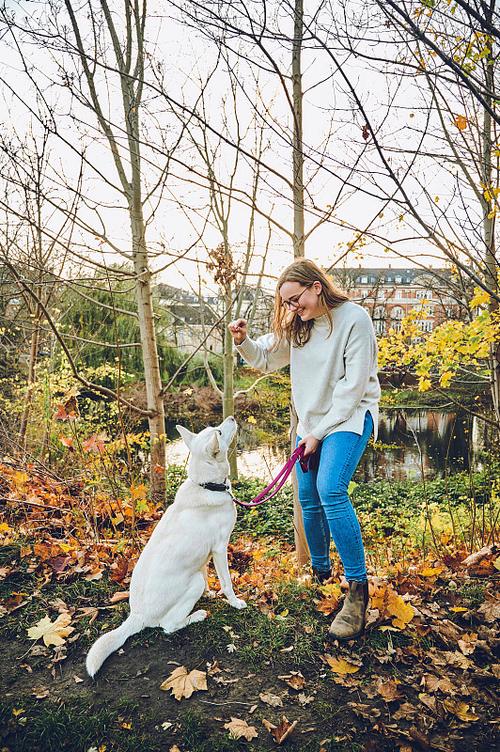 女人牵狗的图片_狗狗和女主人的温馨互动照