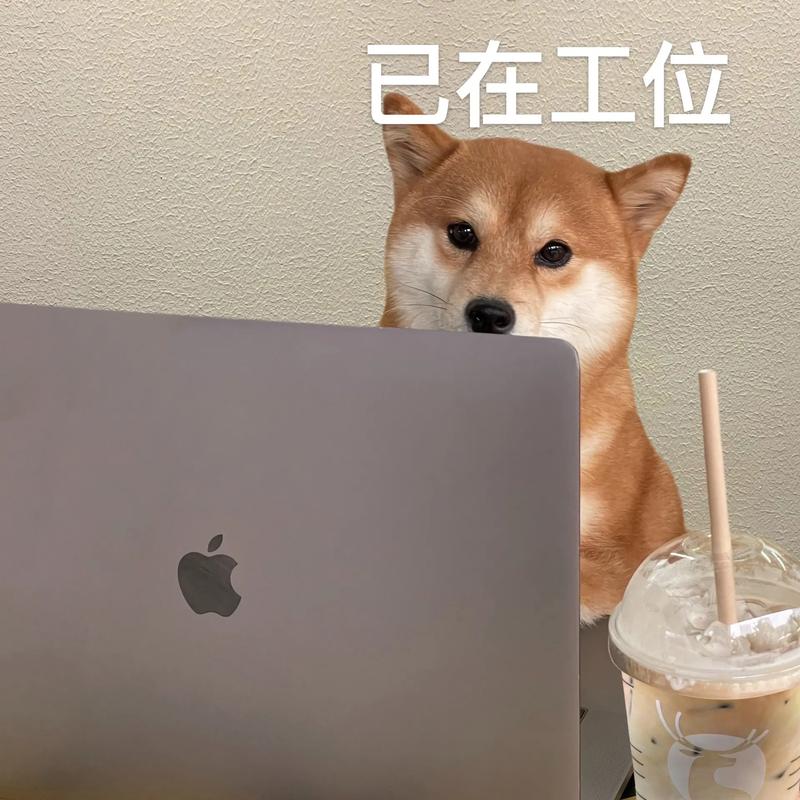 每天赶上班搞笑图片_下班累瘫照，笑翻朋友圈！