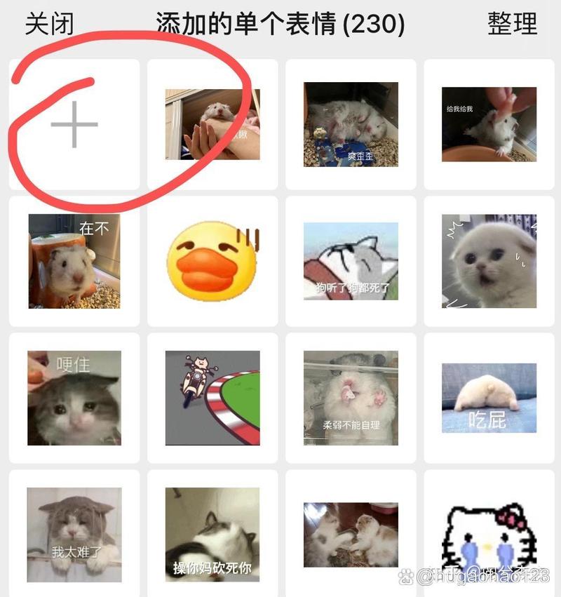 图片转表情包微信_微信图片变表情，聊天更有趣！