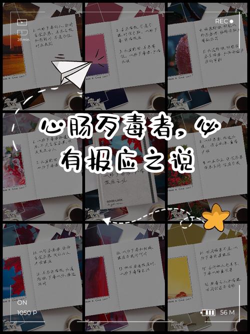 心肠歹毒的图片_外表和善内心险恶的人！