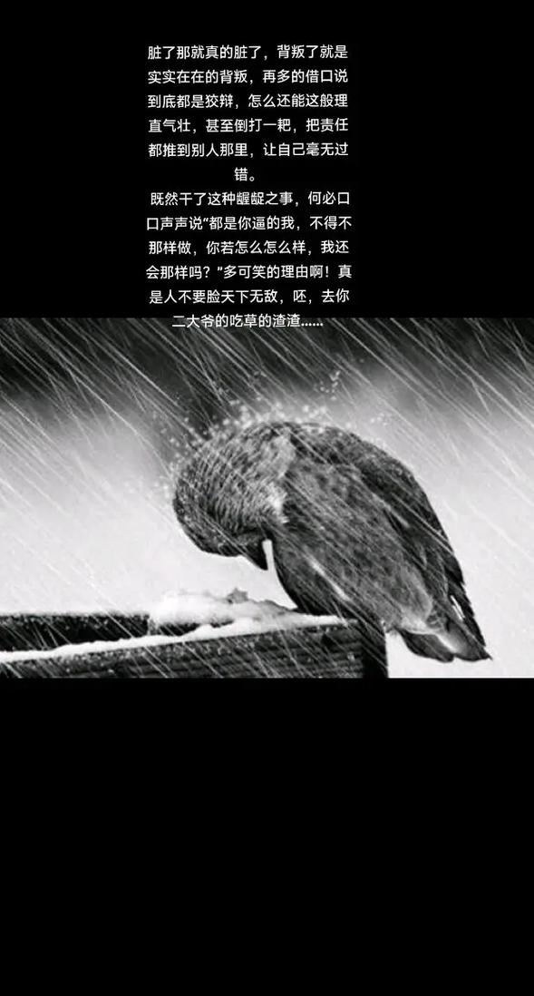 背叛的图片配图_修道院暗光痛苦场景