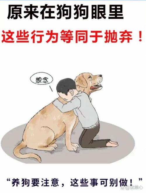 讽刺狗一样的人图片_舔鞋图，网络热议，幽默讽刺！