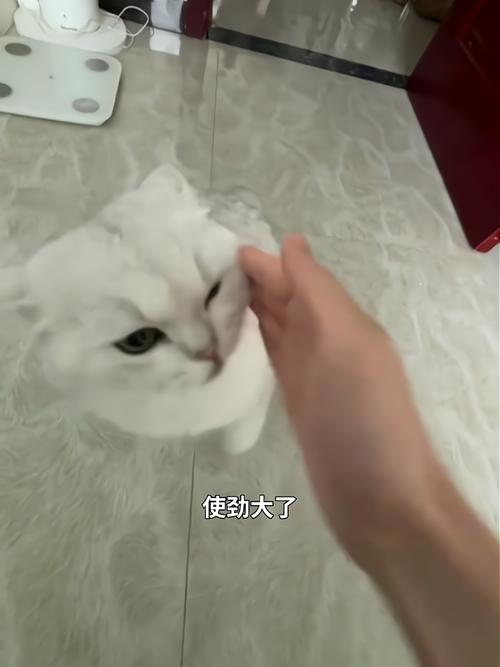 弹你脑瓜崩搞笑图_搞笑弹脑袋图，聊天分享添欢乐，轻松场合必备！