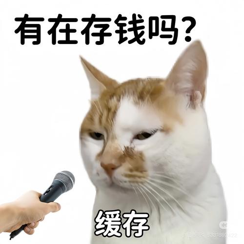 脑袋里想钱的搞笑图片_脑里全是钱，太幽默了！