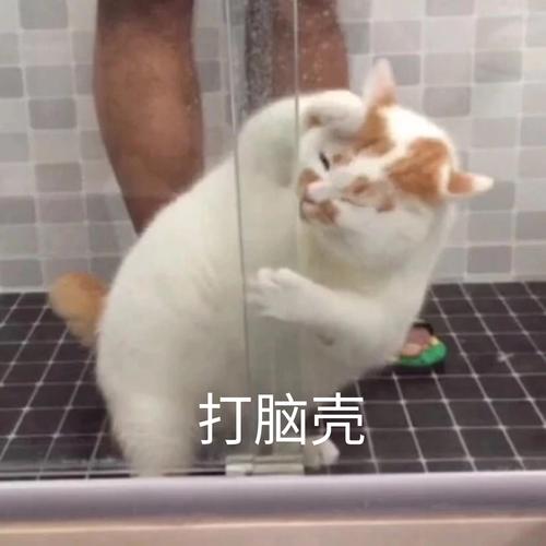 拍打脑袋的搞笑图片_搞笑拍脑袋图，催债教育都管用！