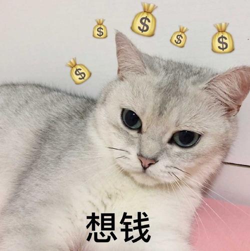 脑袋里想钱的搞笑图片_脑里全是钱，太幽默了！