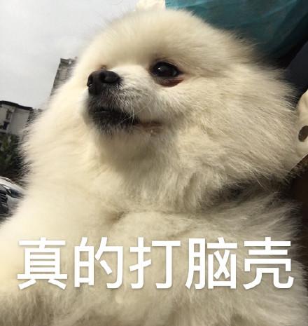 拍打脑袋的搞笑图片_搞笑拍脑袋图，催债教育都管用！
