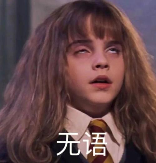 哈利波特搞笑图片大全_哈利波特搞笑图集，表情包梗图，分享欢乐！