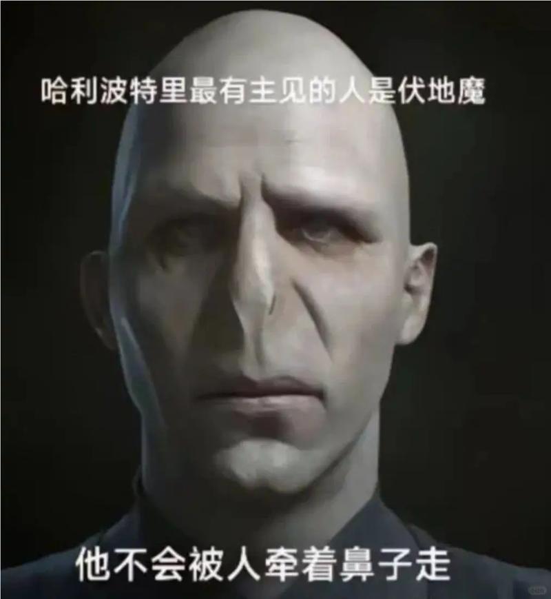 哈利波特搞笑图片大全_哈利波特搞笑图集，表情包梗图，分享欢乐！