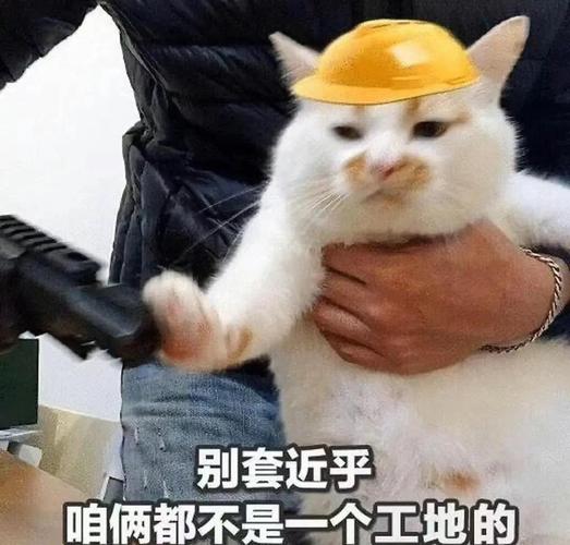 工地搞笑表情包_工地搞笑表情包，轻松缓解紧张气氛，适合工作群分享！