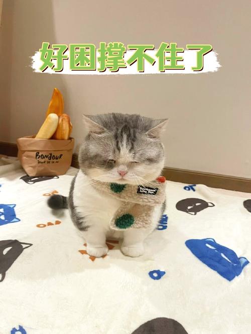 困了累了图片搞笑_办公室解压必备，发朋友逗趣表情包