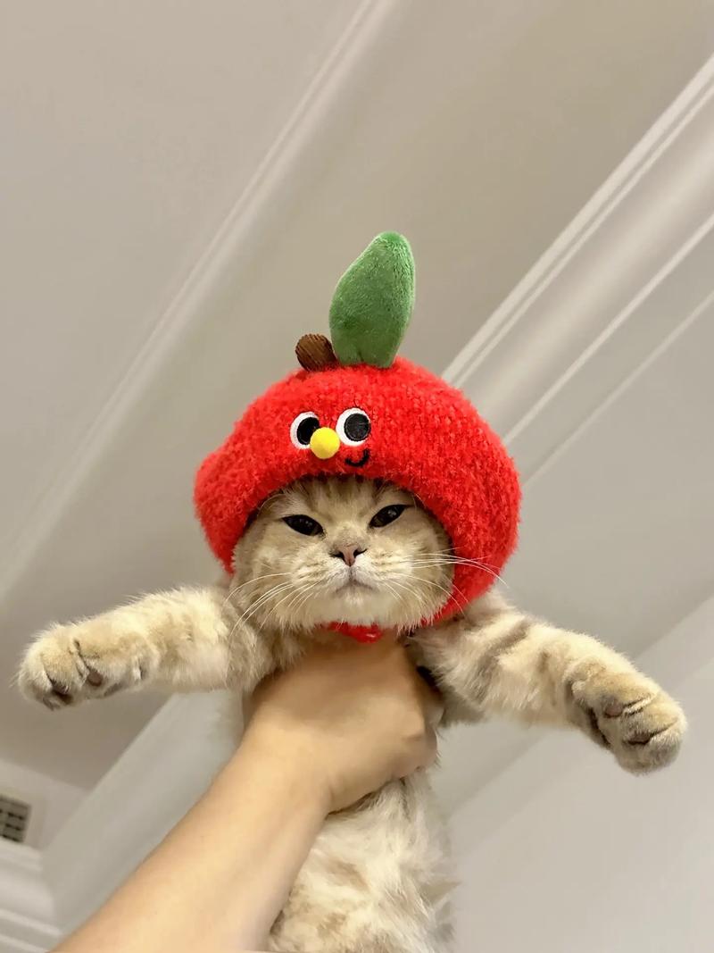 嗨皮猫图片_活泼可爱表情包，香蕉猫联手，增添欢乐创意！