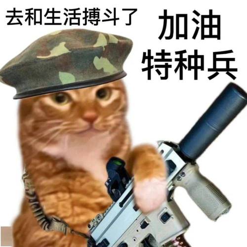 战斗力搞笑图片_团队必备，轻松解压，幽默分享！