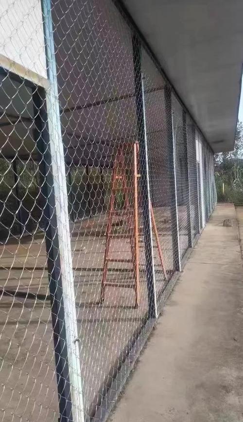养鸡用铁丝网围栏图片_铁丝网养鸡，坚固耐用防外逃，美观易维护，经济实用安全选择