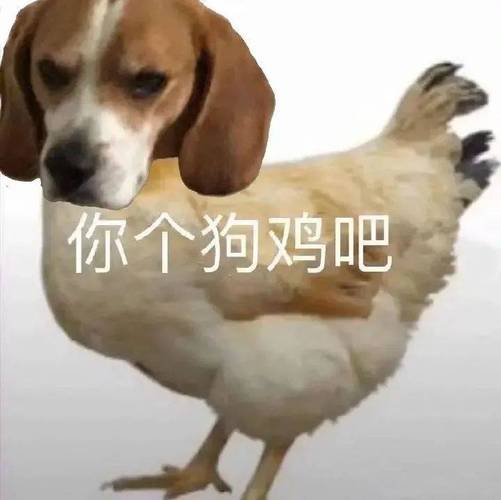 狗头鸡身套路图片_幽默头像，聊天添乐趣，注意场合别惹恼