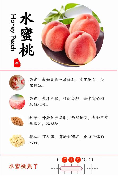 红桃精产国品二产区的特点有哪些?全面解析其产地环境与品质优势 红桃精产国品二产区的特点有哪些?全面解析其产地环境与品质优势